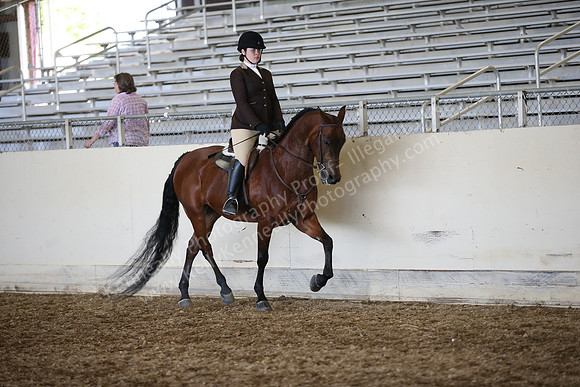 AHANC_Show18_SatPM_4198