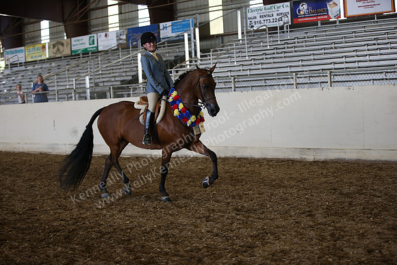 AHANC_Show18_SatPM_4200