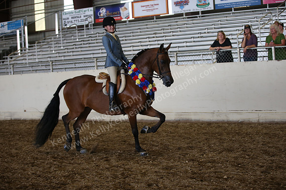 AHANC_Show18_SatPM_4201