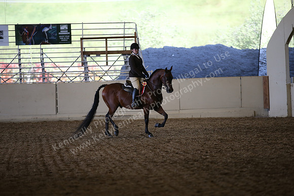 AHANC_Show18_SatPM_4203