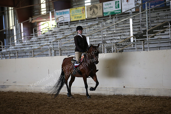 AHANC_Show18_SatPM_4208