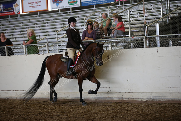 AHANC_Show18_SatPM_4210
