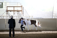 Class 310 A/HA/AA Showmanship ATH Champ