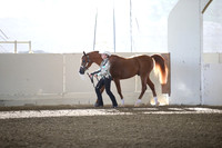 Class 311 A/HA/AA Showmanship AATH Champ