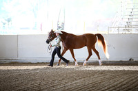 PacSlopes18_SunAM1_8823