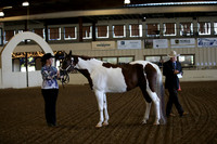 PacSlopes18_SunAM1_8779