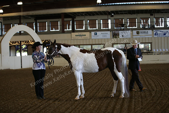 PacSlopes18_SunAM1_8779