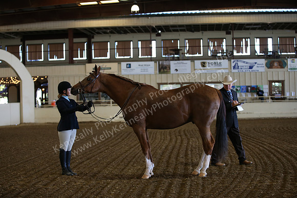 PacSlopes18_SunAM1_8783