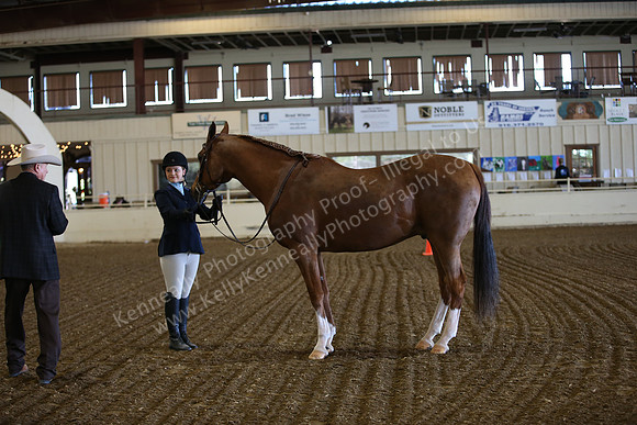 PacSlopes18_SunAM1_8785