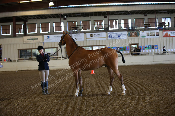 PacSlopes18_SunAM1_8787