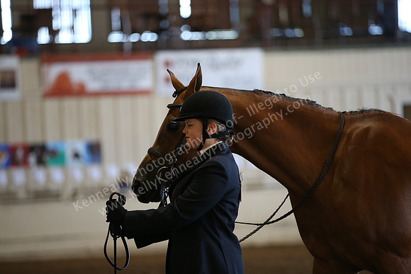 PacSlopes18_SunAM1_8791