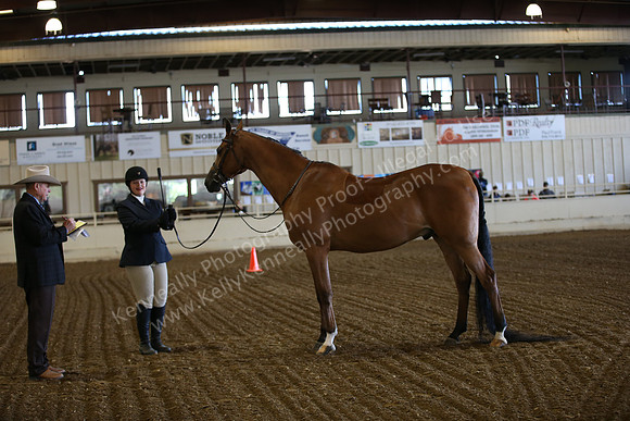 PacSlopes18_SunAM1_8792