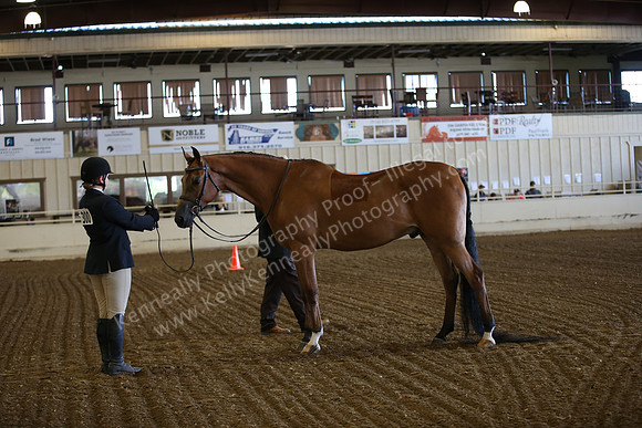 PacSlopes18_SunAM1_8794