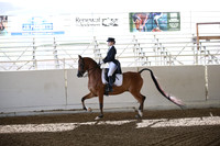 PacSlopes18_SunAM1_8846