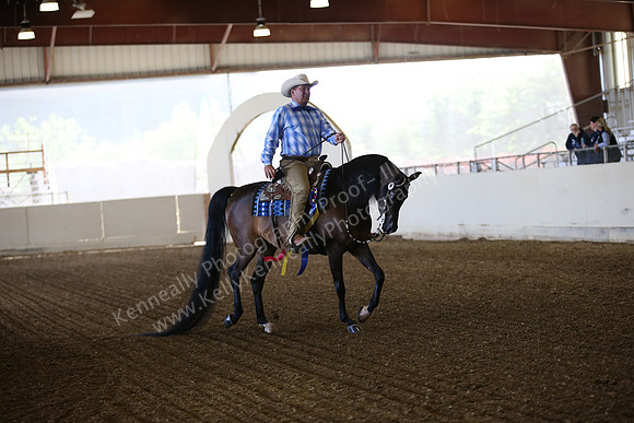 PacSlopes18_SunAM1_8906