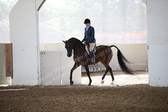 PacSlopes18_SunAM1_8914