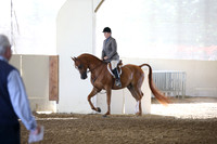 PacSlopes18_SunAM1_8916