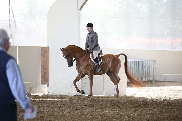 PacSlopes18_SunAM1_8916