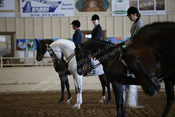 PacSlopes18_SunAM1_8968