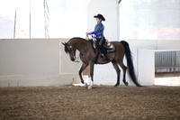 Class 316 Arabian Western L ATR Select Champ