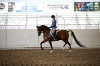 Class 317 HA/AA Hunter AAOTR Champ Jackpot