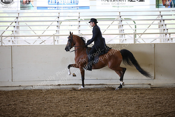 PacSlopes18_SunAM1_9101