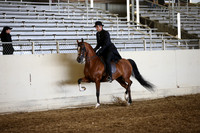 PacSlopes18_SunAM1_9113