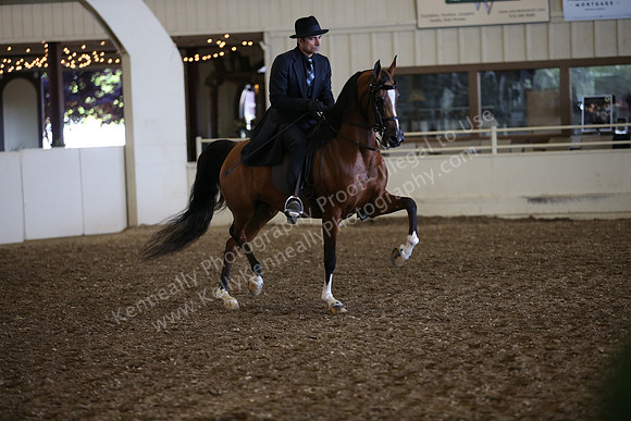 PacSlopes18_SunAM1_9122