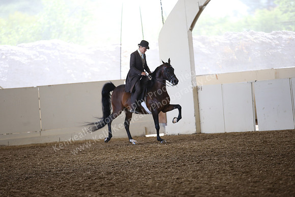 PacSlopes18_SunAM1_9131