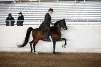 PacSlopes18_SunAM1_9139