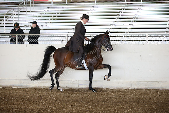 PacSlopes18_SunAM1_9139