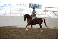 Class 319 HA/AA Hunter PL AAOTR Champ