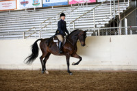PacSlopes18_SunAM1_9181