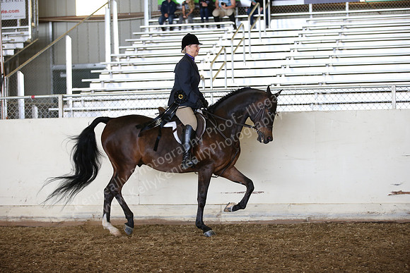 PacSlopes18_SunAM1_9183