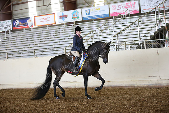 PacSlopes18_SunAM1_9199