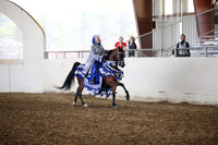 Class 320 HA/AA Mounted Native Costume Champ Open