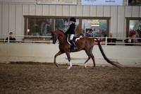 PacSlopes18_SunAM3_0206