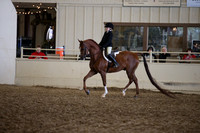 PacSlopes18_SunAM3_0207