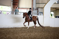 PacSlopes18_SunAM3_0209