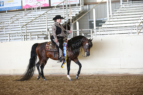 PacSlopes18_SunAM3_0303