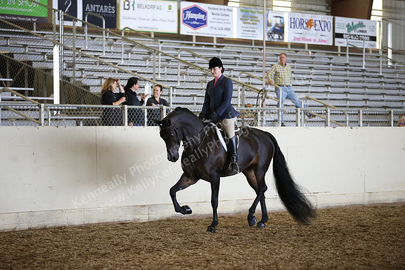PacSlopes18_SunAM3_0320