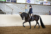 PacSlopes18_SunAM3_0334