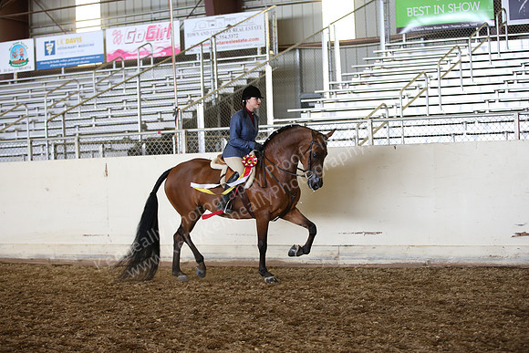 PacSlopes18_SunAM3_0366