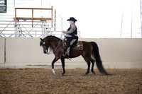 Class 325 Arabian Western Pl AAOTR Champ