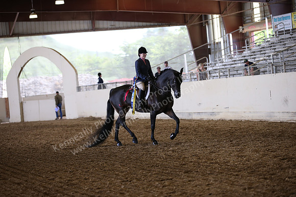PacSlopes18_SunAM3_0371