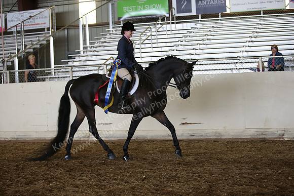 PacSlopes18_SunAM3_0375