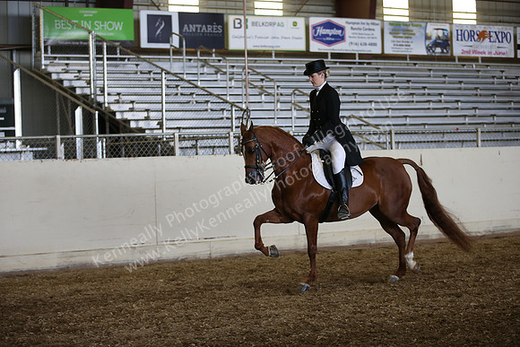 PacSlopes18_SunAM3_0478