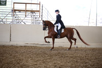 Class 326 HA/AA English Show Hack ATR Champ