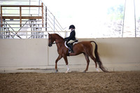 PacSlopes18_SunAM3_0512