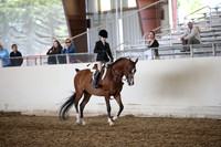PacSlopes18_SunAM3_0523